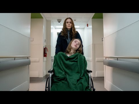 Бразилиялық ит стилі, шашты жопа, фотосуреттер