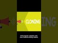 ClonBrowser: Emerging Trends and Opportunities for TikTok Business