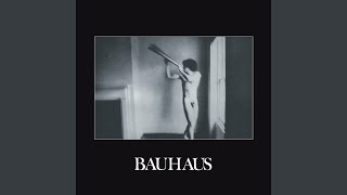 Video thumbnail of "Bauhaus - In the Flat Field"
