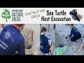 ERM Virtual Field Trip: Sea Turtle Nest Excavation