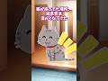 【2chほっこり】お留守番をたのまれた猫 #Shorts #2ch #ほっこり