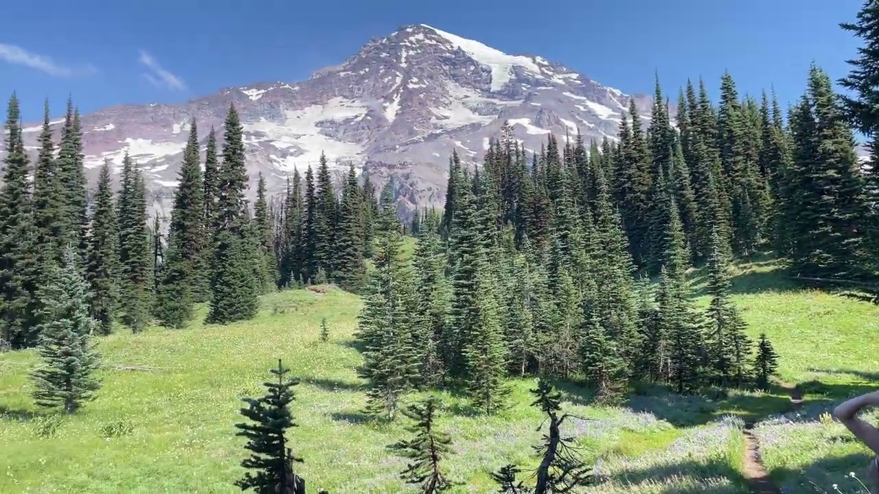Mount Rainier Vacation