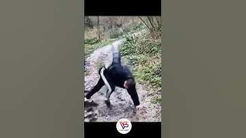 Muddy fall #shorts #funny #fails