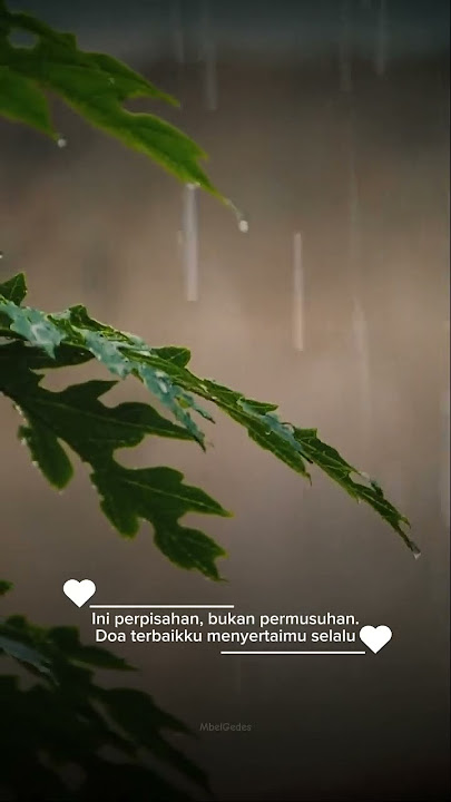 Maafkan aku harus mengakhiri kisah yang seharusnya tak memiliki akhir. #bintang14hari #kangenband