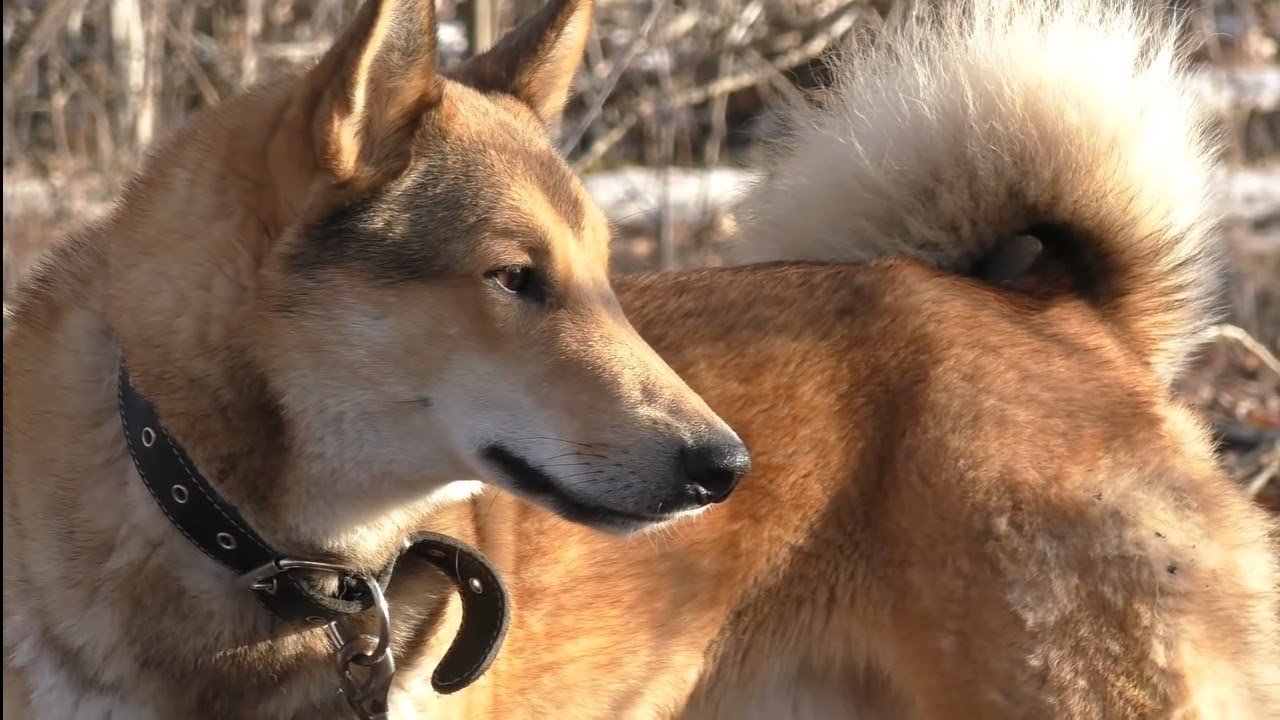 ТОЧКА ОТСЧЕТА: Как всё начиналось и почему нас ждал полный провал