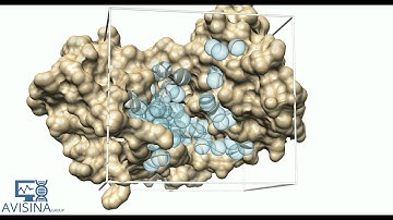 Molecular docking