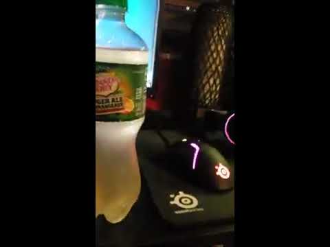 canada dry ginger ale and orangeade review