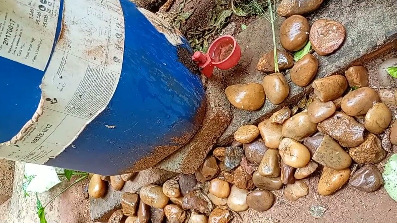 14 de fevereiro de 2026