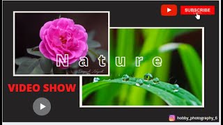 Nature Video show made by VSDC video editor screenshot 4