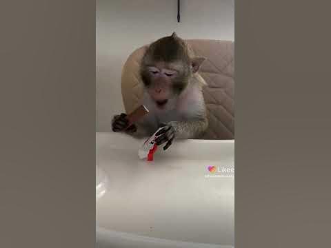 обед - YouTube