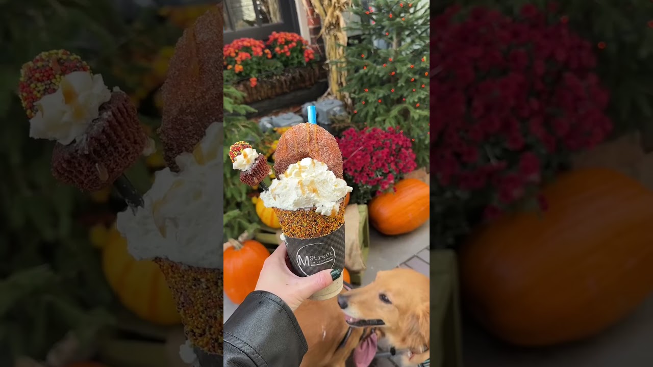 Discover Howell-eentown: Alley District, M Street Baking & Block Brewing