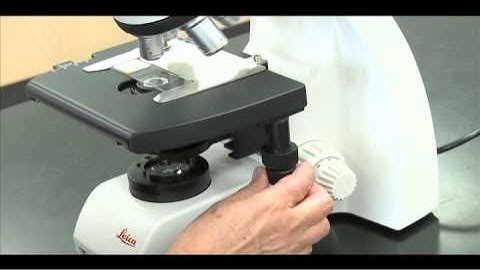 Leica DM750 Microscope 2013