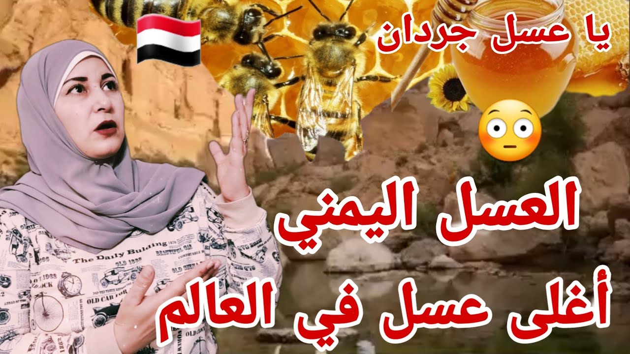 العسل اليمني 🇾🇪 هل هو فعلاً أغلى وأشهى عسل في العالم ؟ شيلة يا عسل جردان