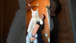 Rare Photos You've Never Seen Before [Part 67]