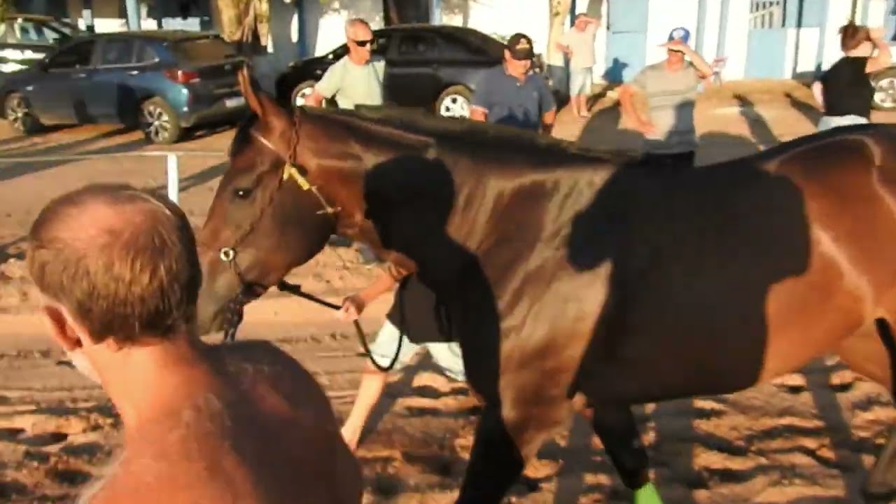 JOCKEY CLUB SANTO ANTÔNIO DA PATRULHA - GP SANTO ANTÔNIO DA PATRULHA - 400 METROS - APRESENTAÇÃO 