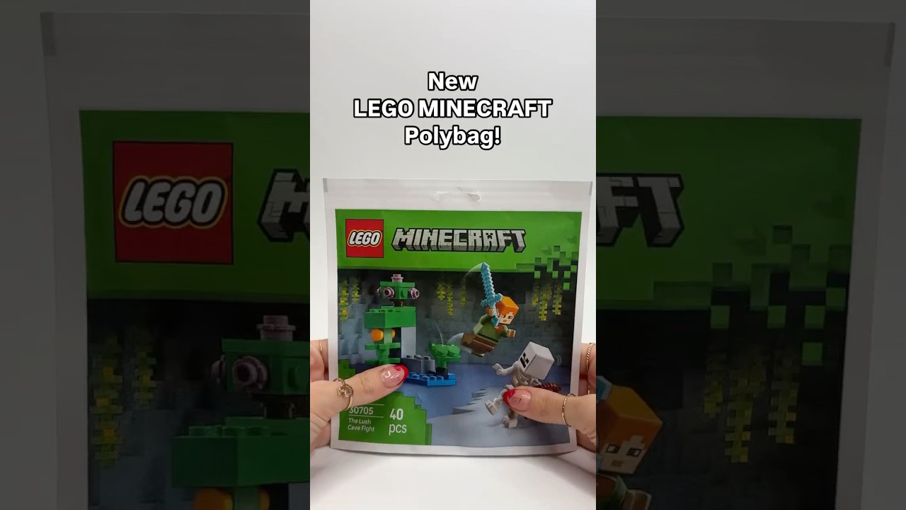 The newest LEGO Minecraft Polybag!🪨 🗡️ 