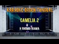 Camelia 2  h rhoma irama  karaoke orgen tunggal