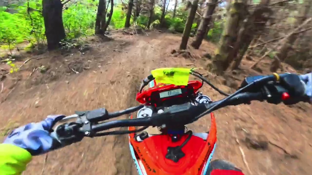 New Zealand trail ride putting the first hours on my Beta 250rr 