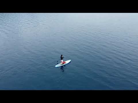 本栖湖　レトリーバーsup