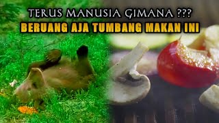 Download Lagu Jika menemukan ini disekitarmu berhati-hatilah, nyawa taruhannya! MP3 Download Lagu Jika menemukan ini disekitarmu berhati-hatilah, nyawa taruhannya! MP3