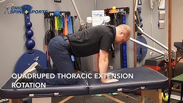 Quadruped Thoracic Extension Rotation