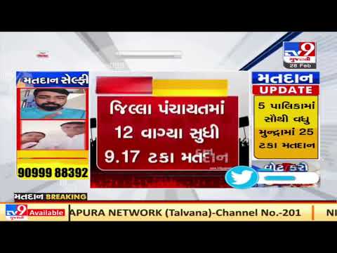 Gujarat Local Body Polls: Average 15% voter turnout recorded across the state | TV9Gujaratinews