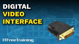 Digital Video Interface - CompTIA A+ 220-1201 – 2.22
