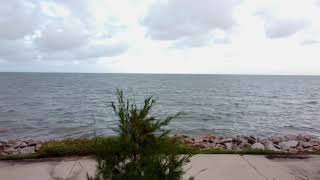 Woody Point Ship Wreck