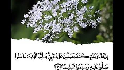 قرآن كريم بصوت الشيخ احمد العجمي😍💚||سوره الاحزاب|حالات واتس اب||💙حالات واتس اب دينيه قصيره❤