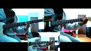 Pito perez - Locamente (cover)