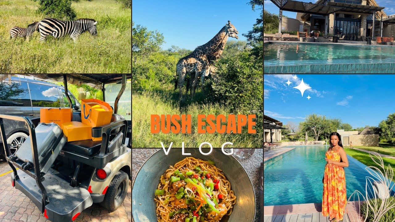 Travel Vlog: Hoedspruit Bush Escape | Big Five Safari & Unboxing