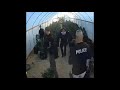 Likwidacja plantacji konopi indyjskich w szklarni