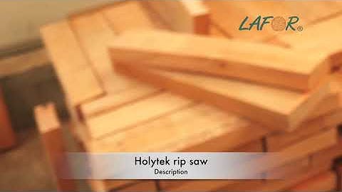 Holytek rip saw for high quality hardwood timber and beechwood timber  production at Lafor.