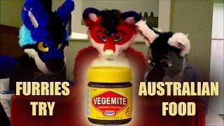 American Furries Try Australian Food (w/ Vix N dwnq, Majira, & FurryNikki)