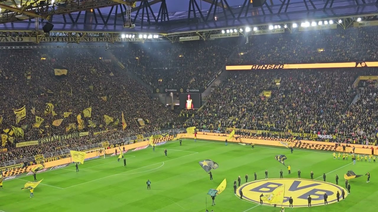 BVB vs 1. FC Köln vom 25.10.2025