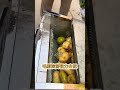 Removing mud and sand from potatoes, quickly cleaning and saving time and labor#土豆清洗机