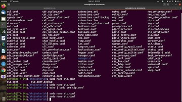 Installasi dan Konfigurasi Asterisk VoIP Server