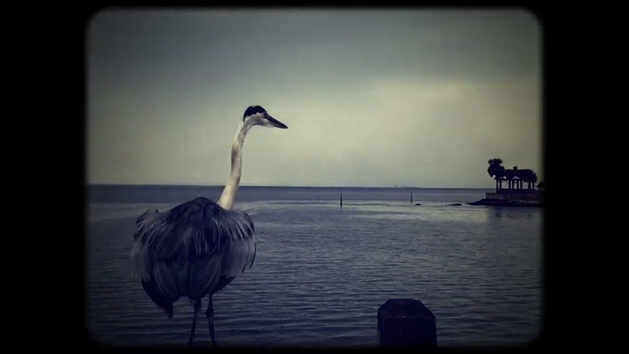 Paul Burch Cry Love featuring the WPA Ballclub