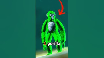 Where Are The LEGS? #gorillatag