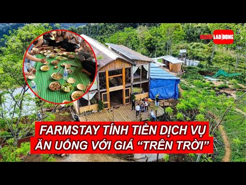 Video Bất ngờ về farmstay ở 
