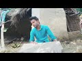 Govinda kalakar asao ka hua khatma Dil Ki Tamanna Bani Rahi channel subscribe🙏🙏🙏🙏😂😂 Mp3 Song