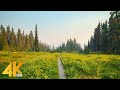4K Hazy Day in Mt. Rainier NP - Hiking the Reflection Lake Trail - Mountain Scenery + Nature Sounds