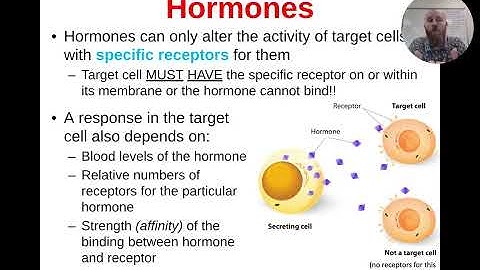 [31] Unit 3, Concept 3B Presentation