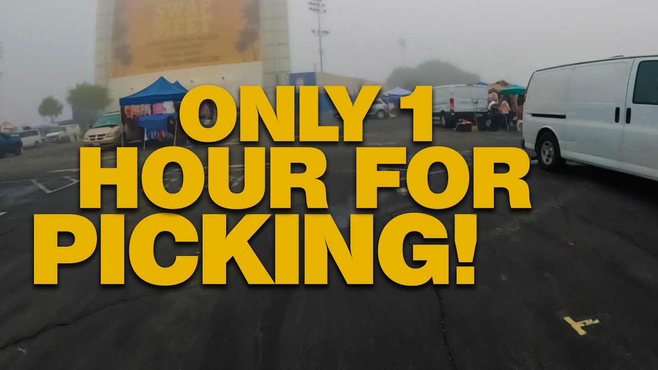 Туманно, и у меня был всего час на сбор урожая.