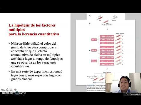Genetica Cuantitativa