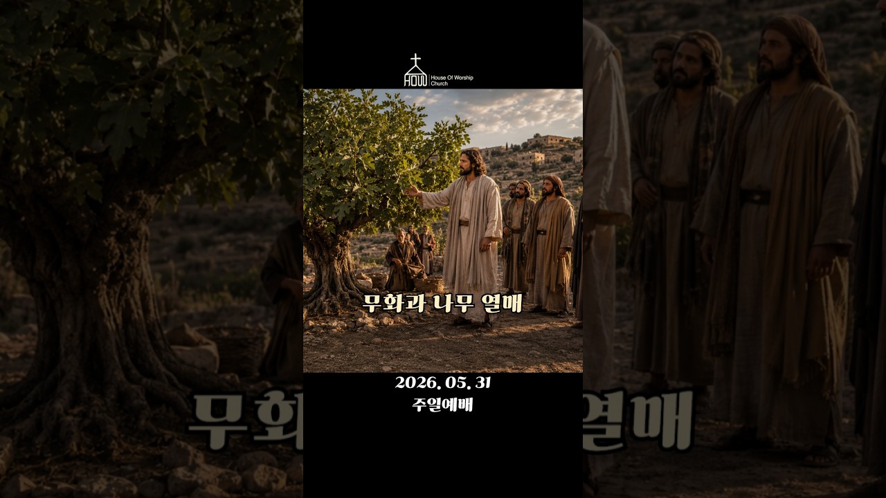 무화과 나무 열매