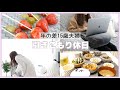 【引きこもり】年の差夫婦のリアルな休日Vlog。何してる?お洒落さなし。