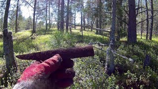 Рыбалка Коп Старинное озеро 3 Minelab CTX 3030