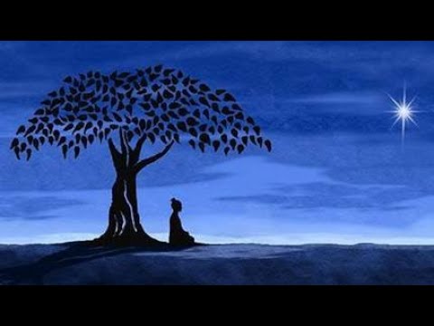 528 Hz Positive Transformation | Emotional & Physical Healing | Anti ...