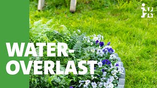 Intratuin - Wateroverlast In De Tuin - Leve De Wildernis